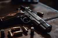 Fire Arm Safety Training